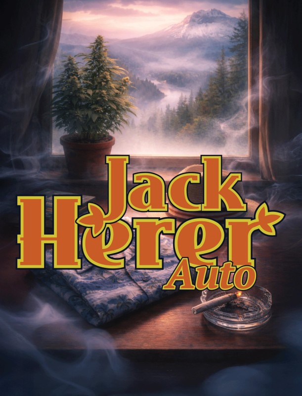 Jack Herer Auto ® (Feminizada)  da Green House Seed Company Amsterdam
