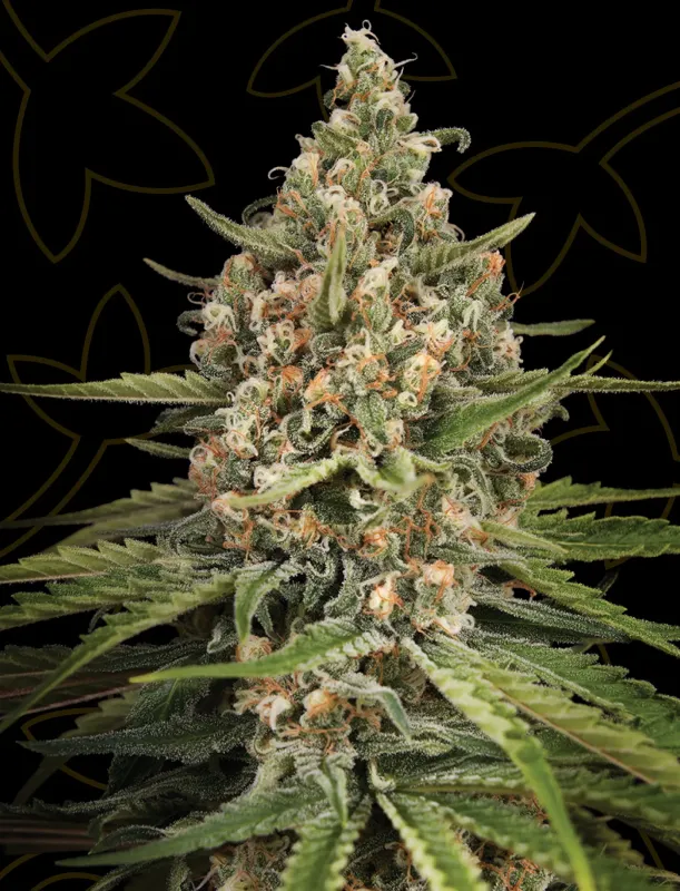 Bubba Slush